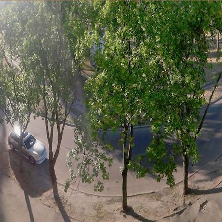 Однокомнатная Квартира На Улице Попудренко Κίεβο Εξωτερικό φωτογραφία